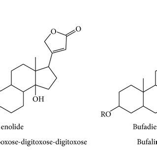 Chemical structure of cardiac glycosides. The basic skeletons of ...