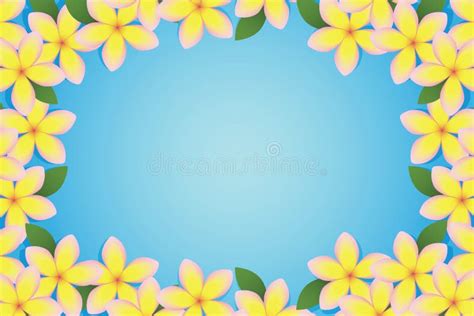 Plumeria Border stock vector. Illustration of graphic - 16470634