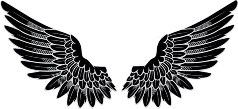 Wings Logo Png Free Transparent Png Logos | Images and Photos finder