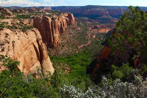 Wandering w/ Serenity: Navajo National Monument