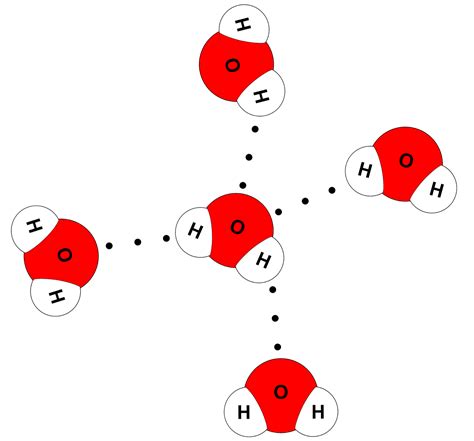 Science online: The importance of the water and its structure