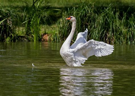 Jaworzno – atrakcje na weekend - Praca Jaworzno