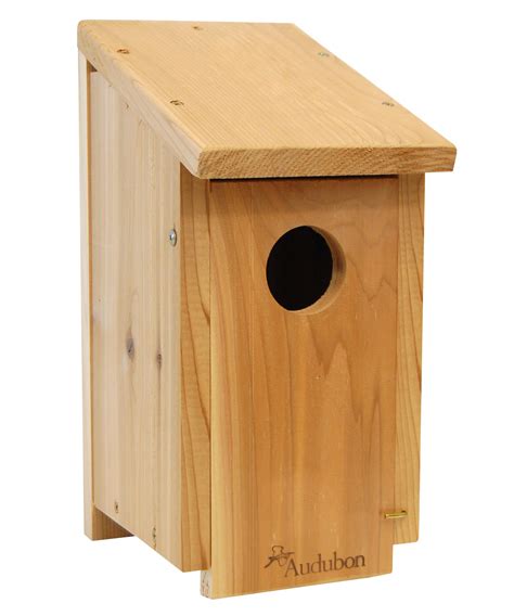 10 Best Woodpecker Bird Houses for Your Backyard - Hummingbirds Plus