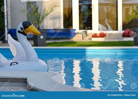 Little Pool and Palm Leaves in the Hotel. Stock Photo - Image of bright ...