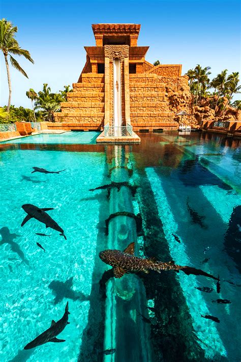 Enjoy 5 Days Of Saving And Discover Atlantis Bahamas