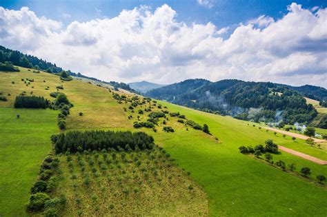 Wonderful Hills Scenery with Green Grass and Trees Free Stock Photo ...