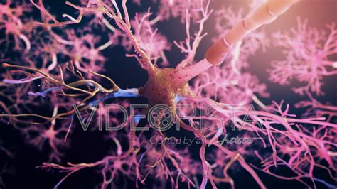 Real Neuron synapse network 3D animation. Flight through brain nervous ...