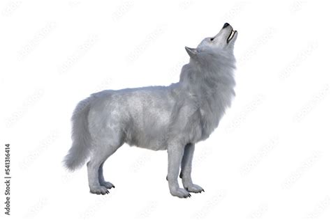 White Dire Wolf howling. 3d illustration isolated on transparent ...