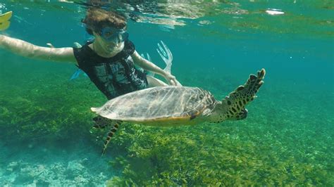 Snorkelling alle Seychelles - YouTube