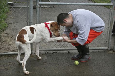 Lincoln County shelter offers second chance to both pets, inmates ...