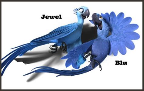 Image - Rio Blu and Jewel Art.jpg | Rio Wiki | FANDOM powered by Wikia