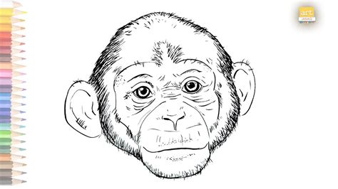 Monkey face drawing / How to draw A Monkey drawing step by step / # ...