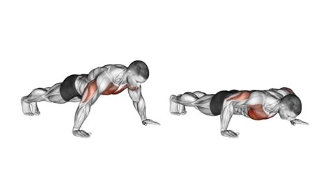 Push-Ups: How-To, Muscle Worked, Benefit, Variations