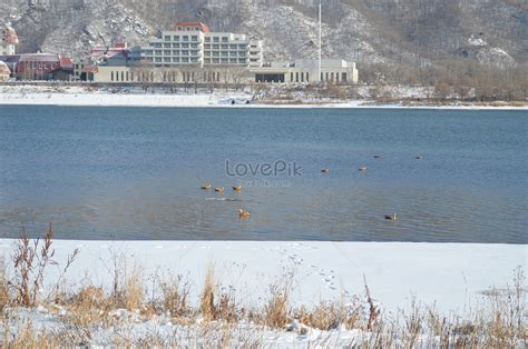 Snow And Hay River In Winter Picture And HD Photos | Free Download On ...