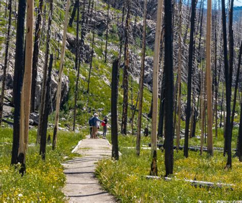 Cascade Falls via North Inlet Trailhead - Crazy About Colorado