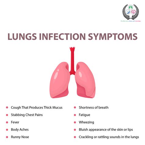 Lung Infection: Types, Symptoms, Treatment Guide