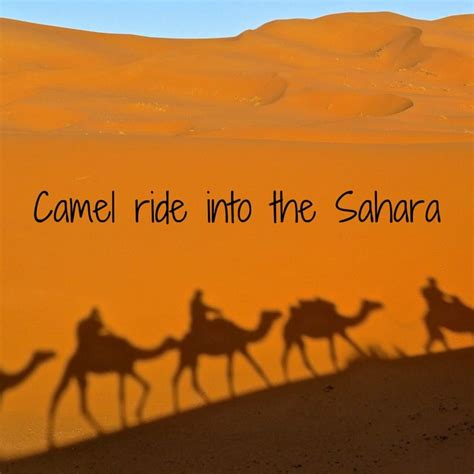 Camel ride into the Sahara