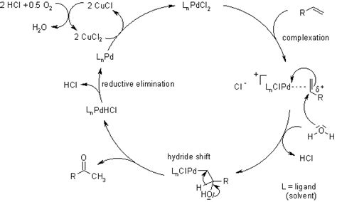 Oxidation Reaction Mechanism