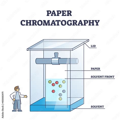 Paper chromatography method to separate colored chemicals outline ...