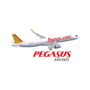 Güliz Öztürk, CEO of Pegasus Airlines, was awarded the "Inspirational ...