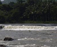 RIVER CHALAKUDY - THE CHALAKUDY PUZHA | KERALA THE LAND OF RIVERS ...