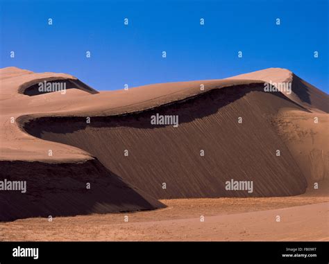 st. anthony sand dunes near rexburg, idaho Stock Photo: 92820780 - Alamy