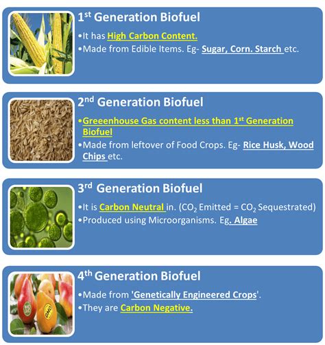 World Biofuel Day 2021: Hopes for better Environment amidst looming ...