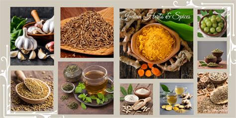 10 Secret Indian Herbs And Spices To Boost Your Immunity in Winter 2024 ...