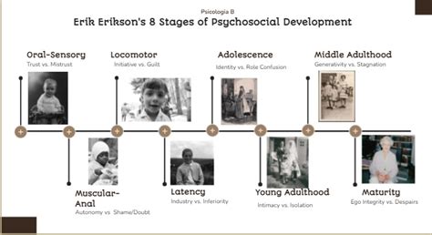 The 8 Stages of Life According to Erikson (LS-PT-696) - Teaching With ...