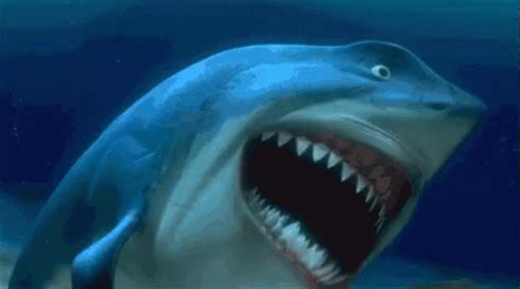 Lolin GIF - Finding Nemo Shark Laughing - Discover & Share GIFs