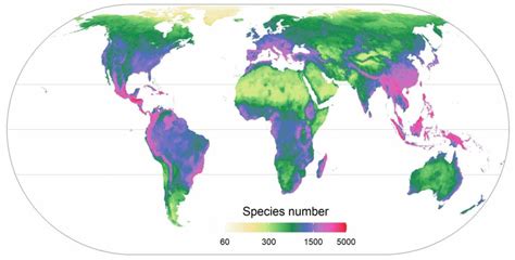 A world map of plant diversity - Sonnenseite - Ökologische ...