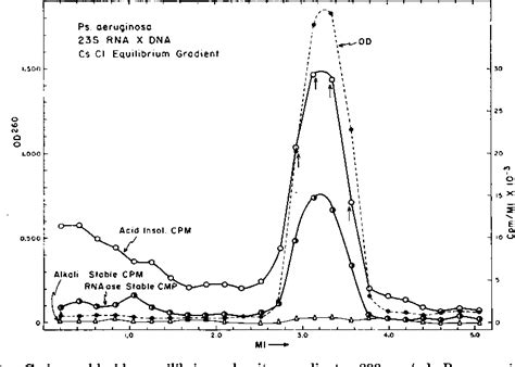 Figure 1 from The identification of the ribosomal RNA cistron by ...