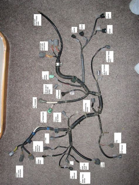 Eg Engine Wiring Harness Diagram Manual