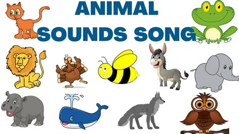 Animal Sound Animal Sounds For Kids