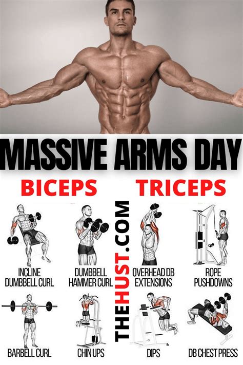 Complete arms workout plan | Biceps workout, Bicep and tricep workout ...