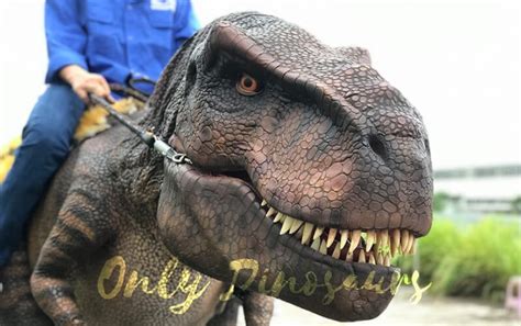 Realistic T-Rex Costume For Adult | Only Dinosaurs