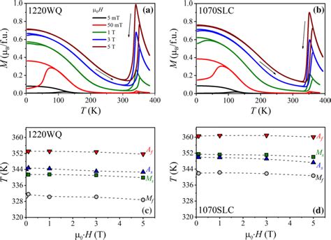 Magnetization (M) in Bohr magnetons per formula unit (µB/f.u.) versus ...