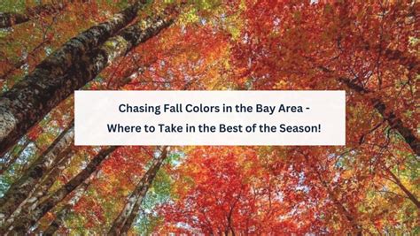 Chasing Fall Colors in the Bay Area