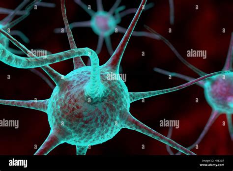 3d nerve cell Stock Photo - Alamy