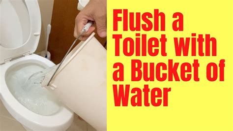 10 Tips How to Flush a Toilet Without Water? - Housekeepingbay