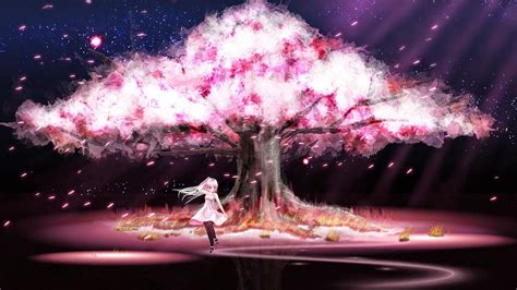 Anime Cherry Blossom Couple Hd Wallpapers - Wallpaper Cave