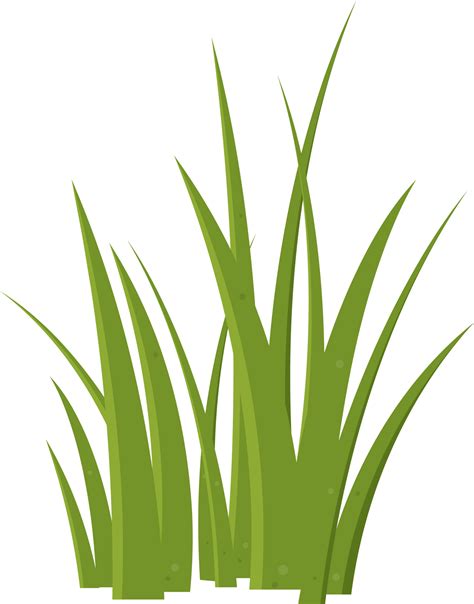 Cartoon grass leaves clip art 21612232 PNG