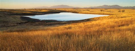 Sonoita to Patagonia | Arizona Highways