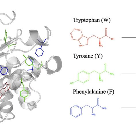 Structures of 25 commonly used phenylalanine derivatives 1 ...