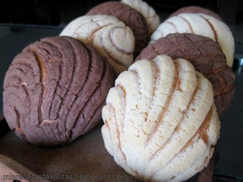 Top 84+ imagen receta para hacer conchas caseras - Abzlocal.mx