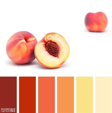 Peach Color Schemes - Good Colors For Rooms