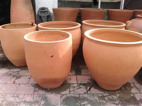 Wadah pot dari tanah liat | Tanaman kaktus, Tanaman, Tanah liat