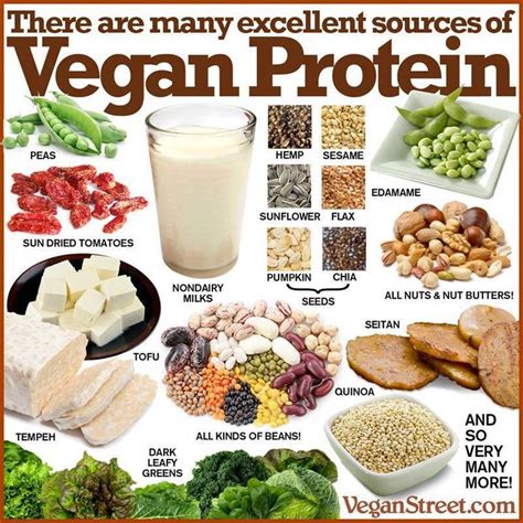 Vegan food sources | Vegan protein sources, Vegan nutrition, Vegan foods