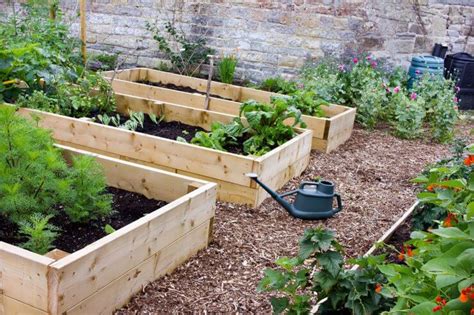 What's the Best Type of Wood for Raised Beds? - Food Gardening Network