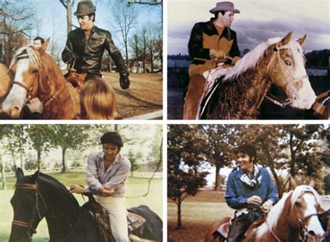 ELVIS PRESLEY & HIS HORSES!! – The Black Stallion